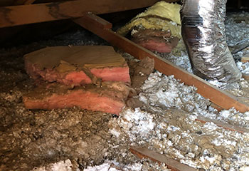 Crawl Space Cleaning Project | Attic Cleaning San Mateo, CA