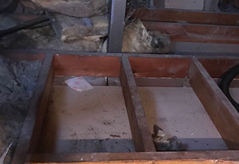 Rodent Proofing Project | Attic Cleaning San Mateo, CA