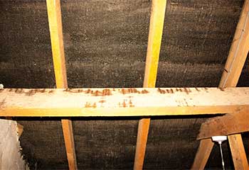 Attic Insulation Removed | Attic Cleaning San Mateo, CA Attic Insulation Removed | Attic Cleaning San Mateo, CA