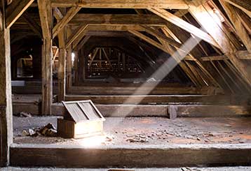 Why Attic Cleaning is Best to Perform before Winter | San Mateo, CA