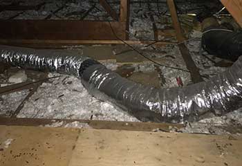 Mice Removal Project | Attic Cleaning San Mateo, CA Mice Removal Project | Attic Cleaning San Mateo, CA