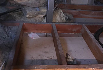 Rodent Proofing Project | Attic Cleaning San Mateo, CA Rodent Proofing Project | Attic Cleaning San Mateo, CA